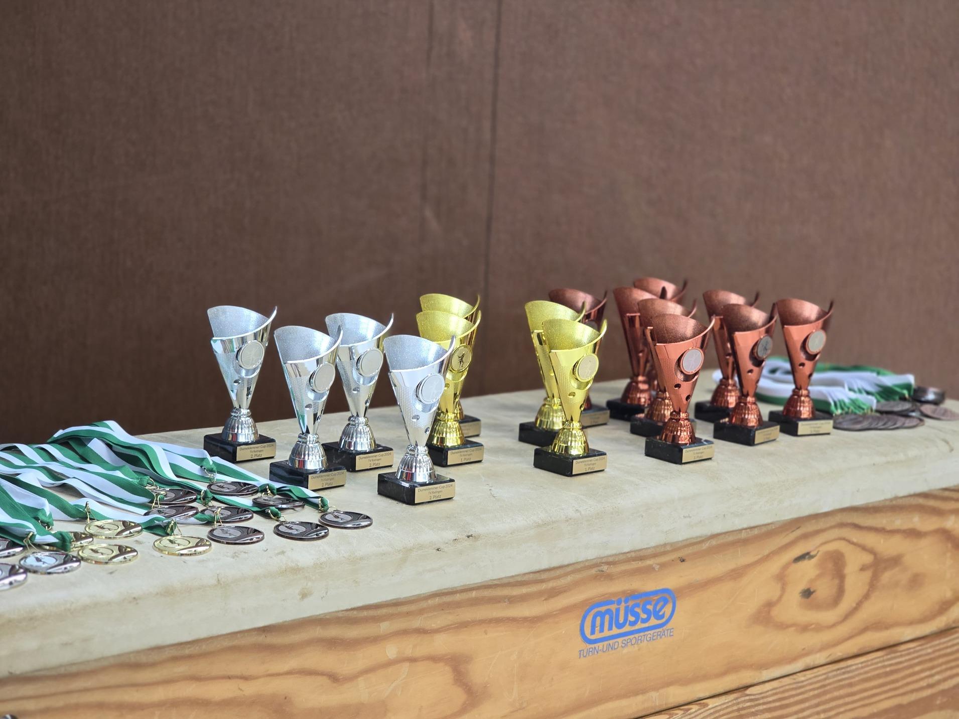Reihe von Pokalen in Silber, Gold und Bronze sowie Medaillen auf einem Holztisch mit braunem Hintergrund.