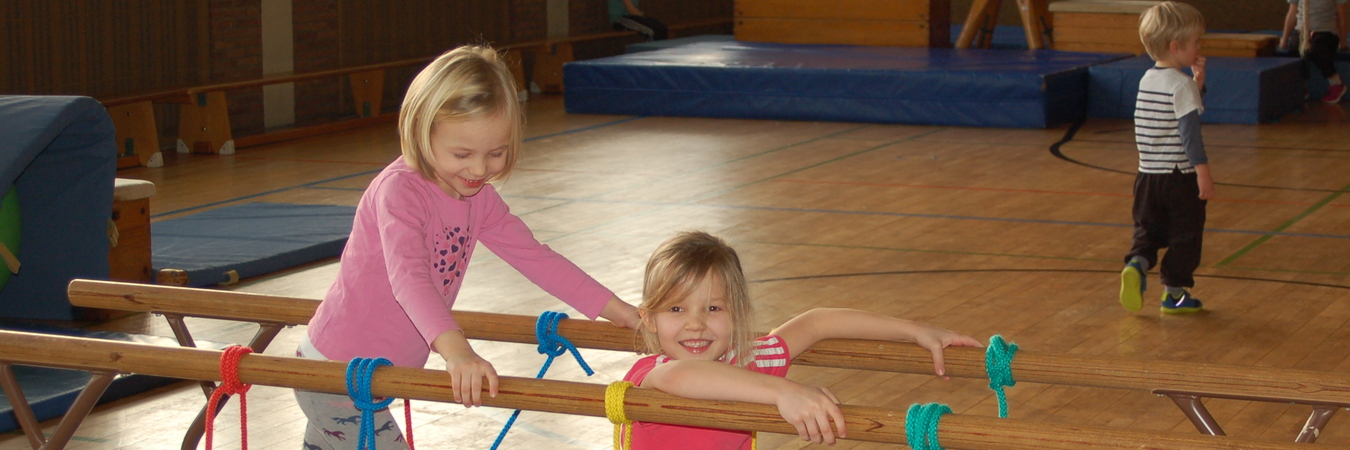 Zwei Kinder &uuml;ben an einem Kletterger&uuml;st in einer Turnhalle, w&auml;hrend andere Kinder im Hintergrund spielen.