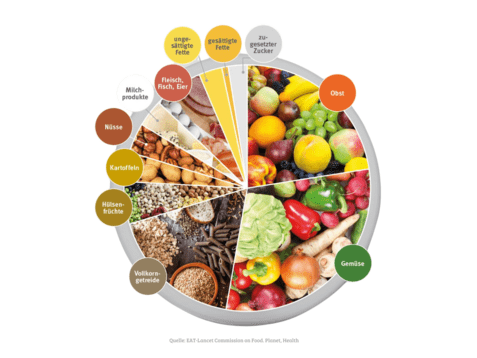 Diagramm einer ausgewogenen Ern&auml;hrung mit verschiedenen Lebensmittelgruppen: Obst, Gem&uuml;se, N&uuml;sse, H&uuml;lsenfr&uuml;chte, Vollkorn, Milchprodukte.